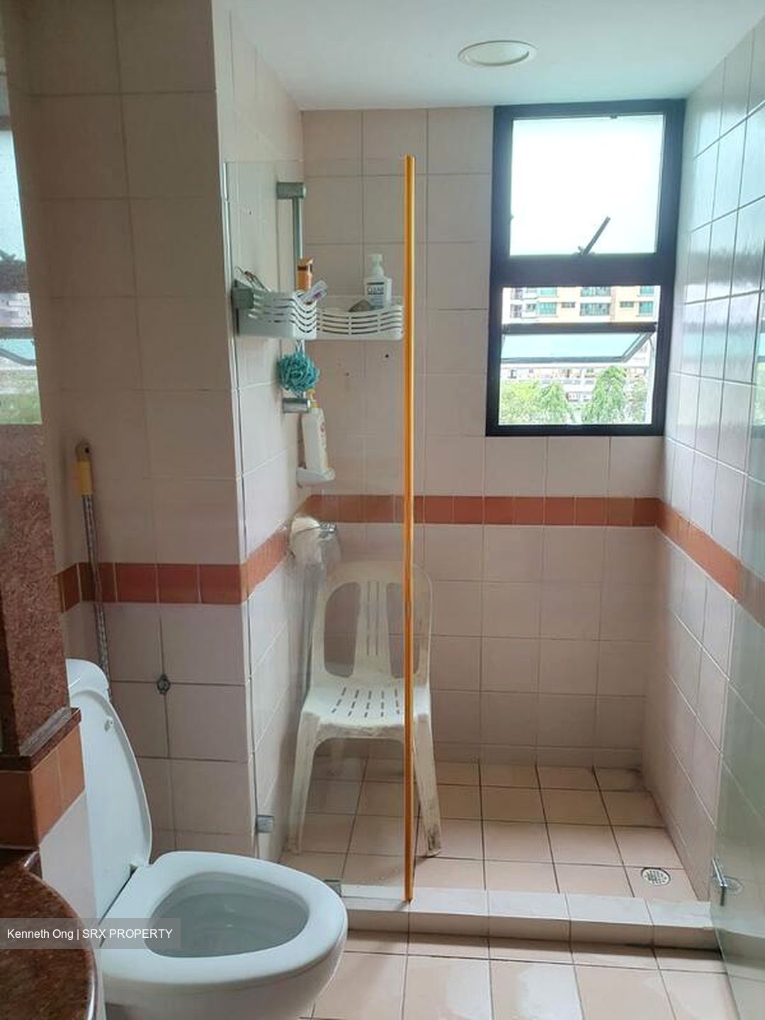 Woodsvale (D25), Condominium #479350101